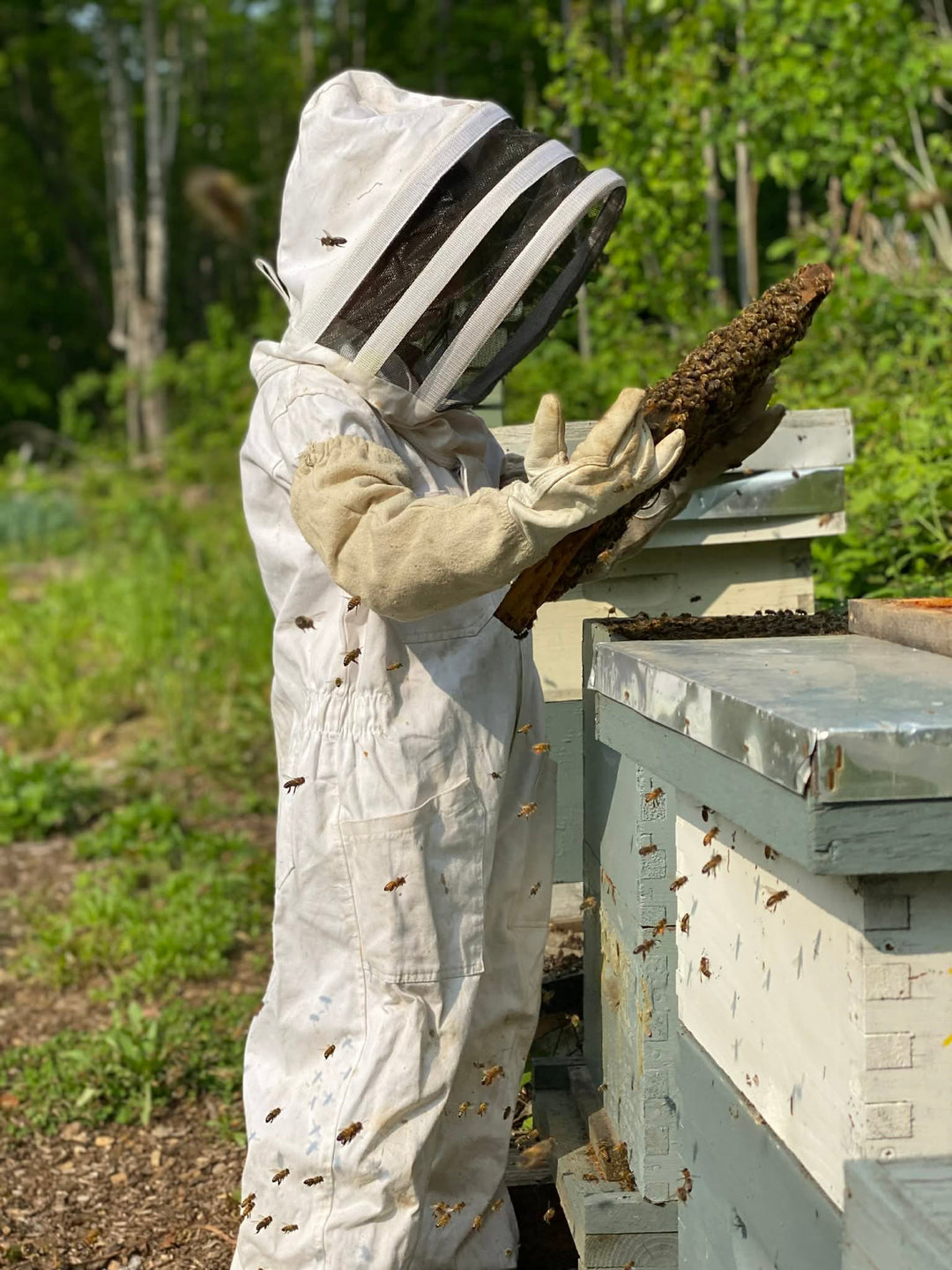 From Our Family Farm to Your Skin: How We Create Our Products