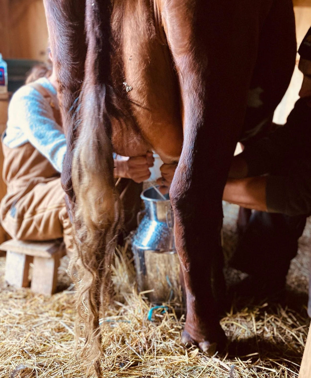 Why Fresh Milk Soap Is a Gift to Sensitive Skin