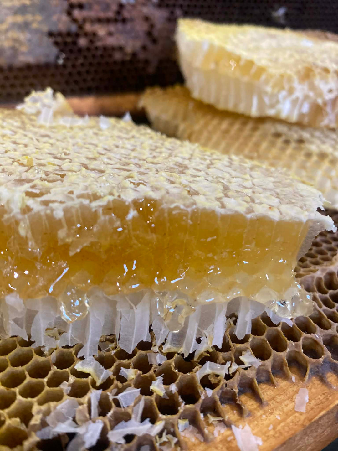 Why Natural Skincare Matters More Than Ever: A Guide to Truly Nourishing Your Skin