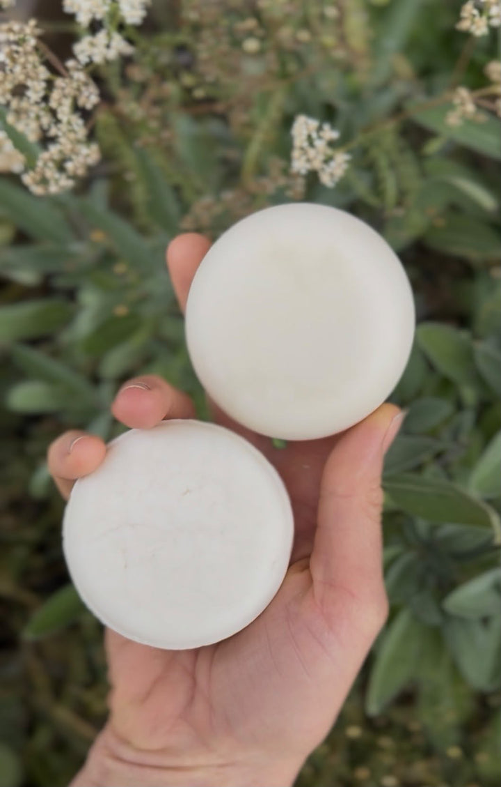 Shampoo + Conditioner Bar Bundle